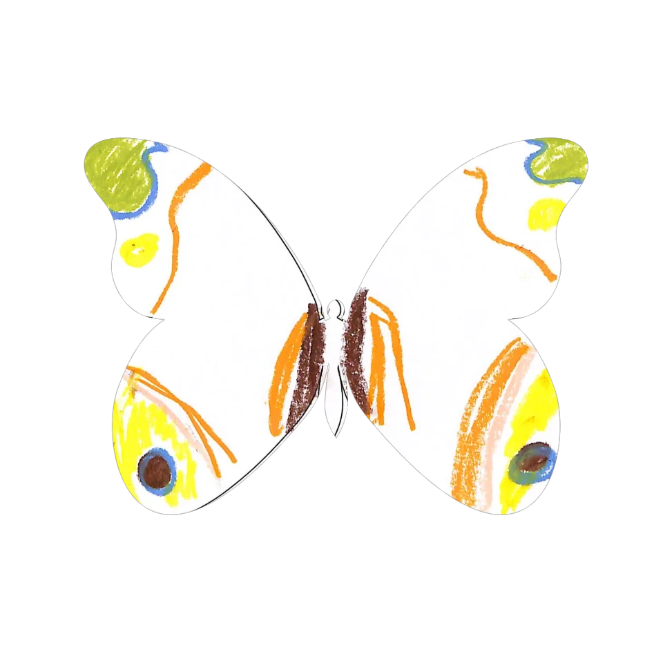 Original Butterfly Image