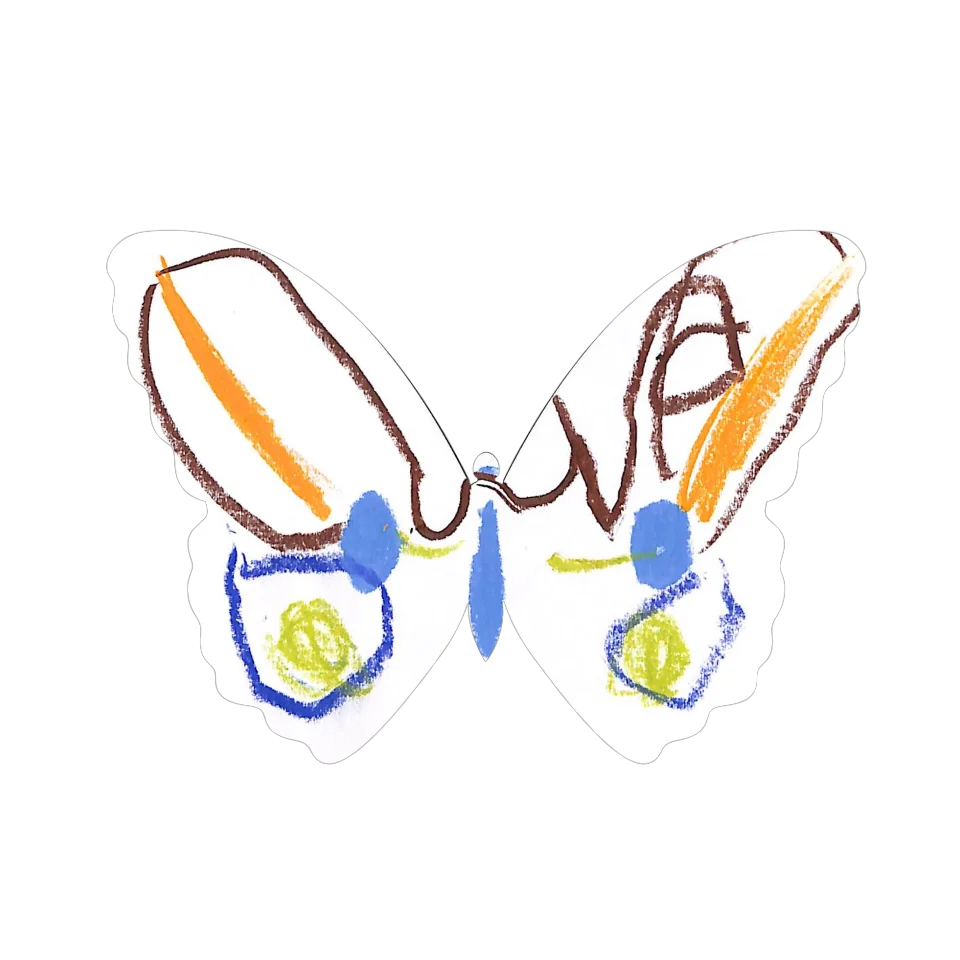 Original Butterfly Image