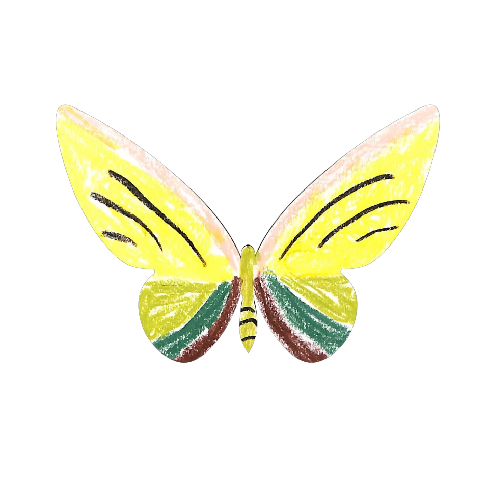 Original Butterfly Image