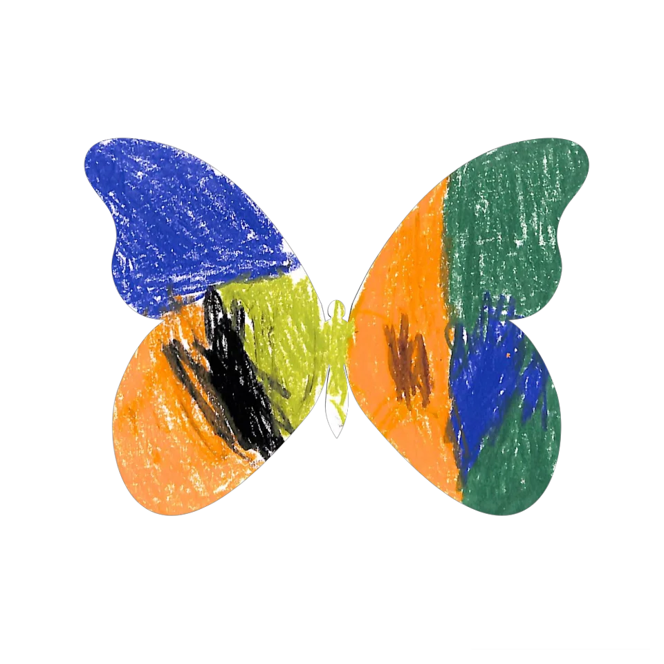 Original Butterfly Image