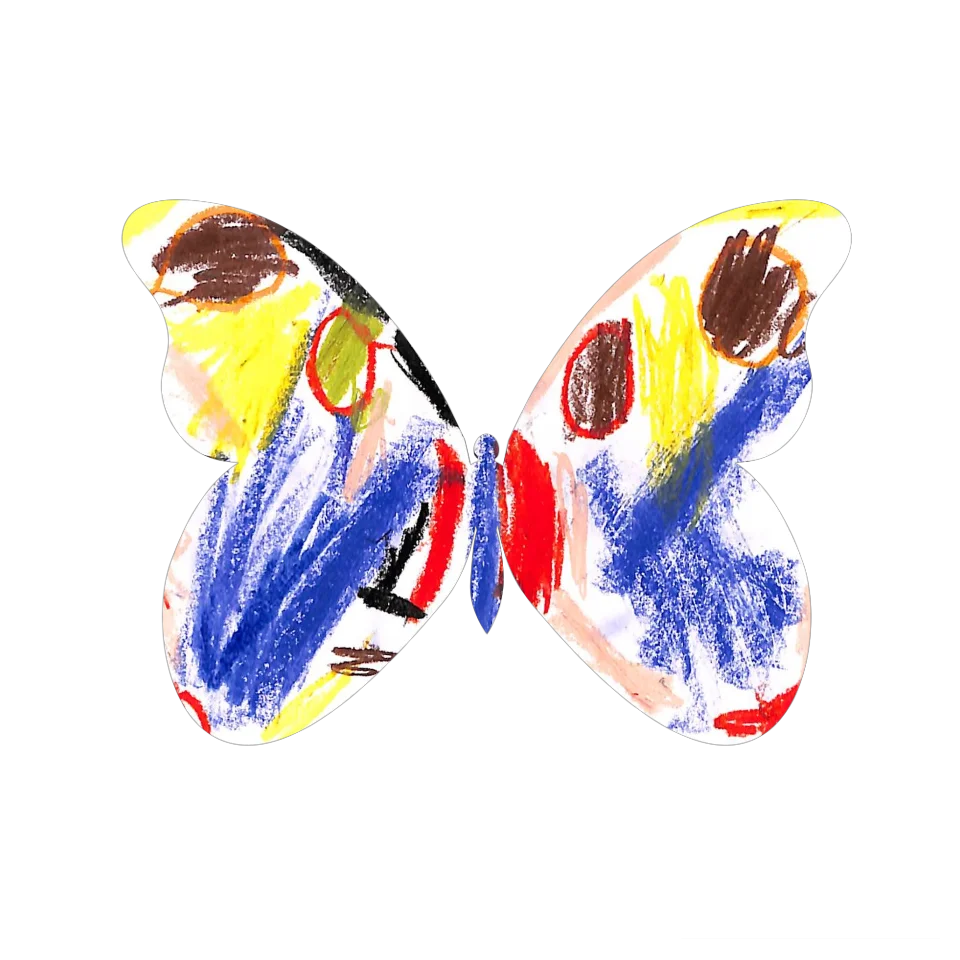 Original Butterfly Image