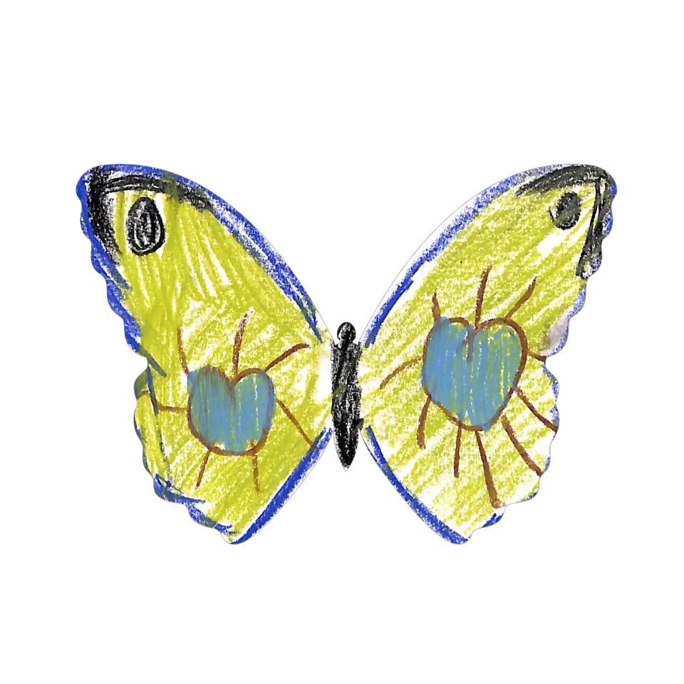 Original Butterfly Image