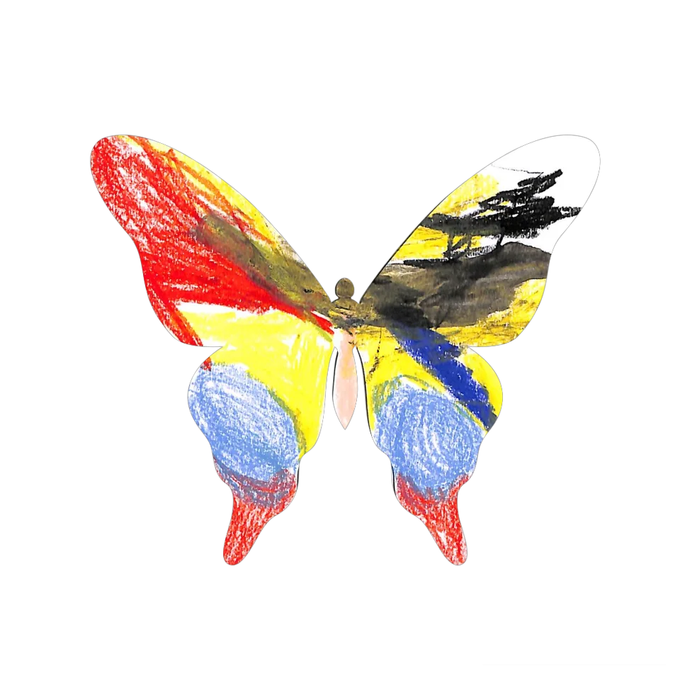 Original Butterfly Image