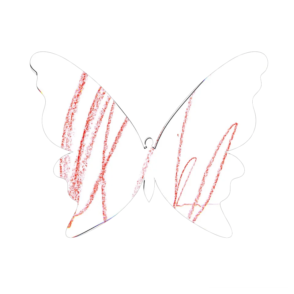 Original Butterfly Image