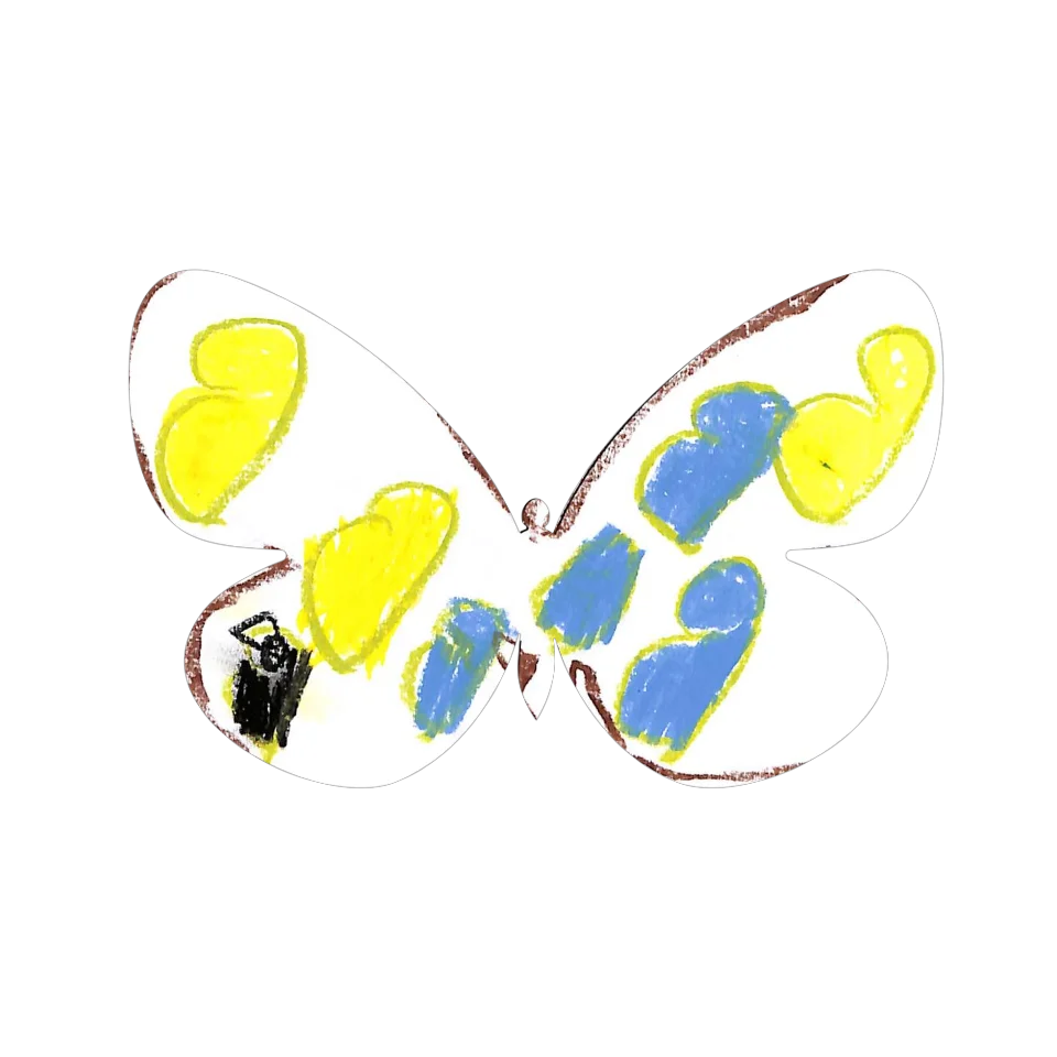 Original Butterfly Image