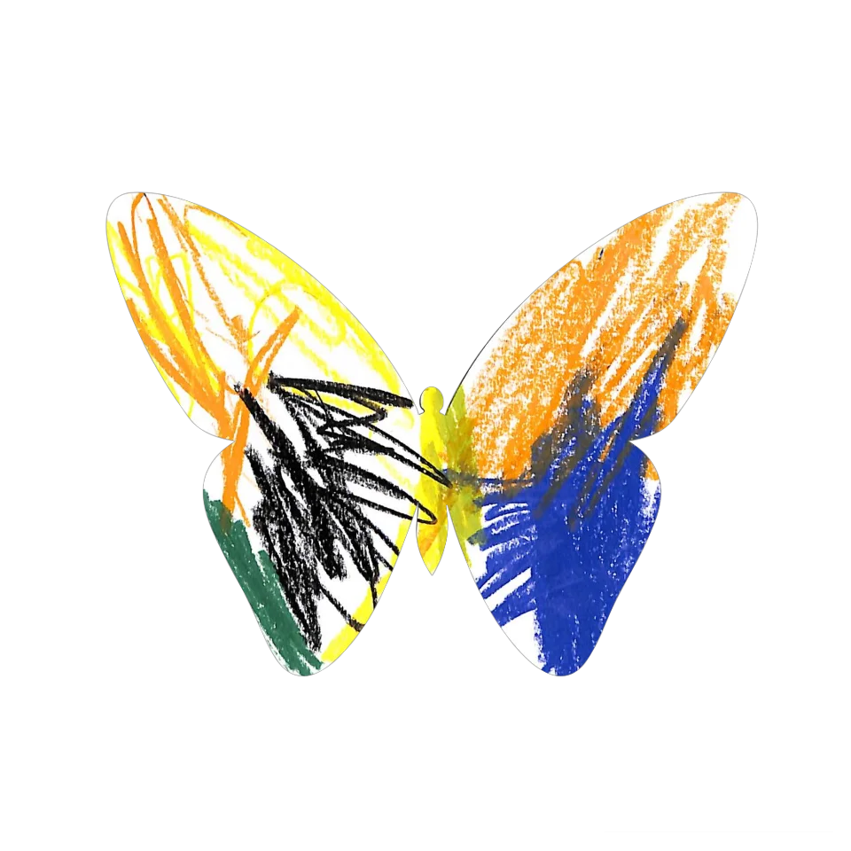 Original Butterfly Image