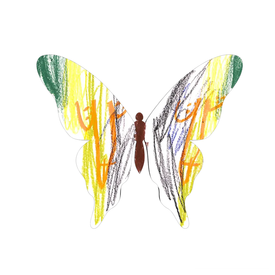 Original Butterfly Image
