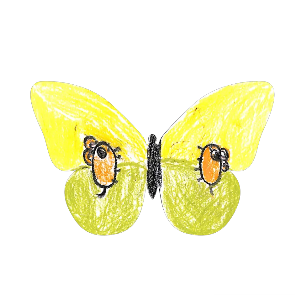 Original Butterfly Image