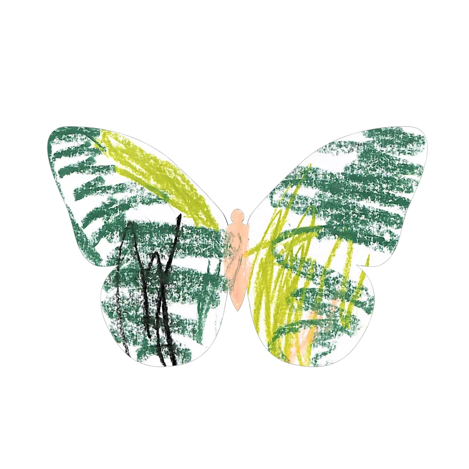Original Butterfly Image
