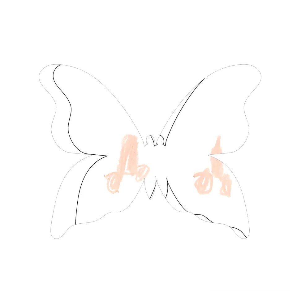 Original Butterfly Image
