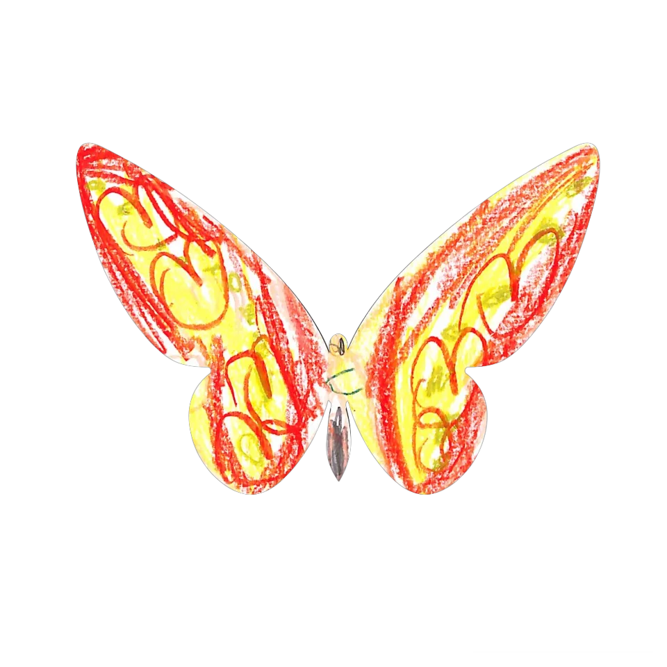 Original Butterfly Image