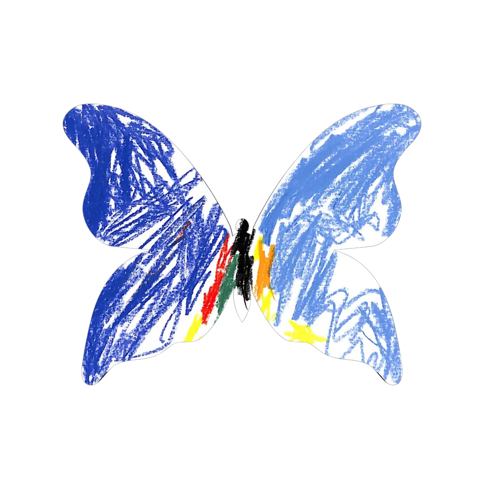 Original Butterfly Image