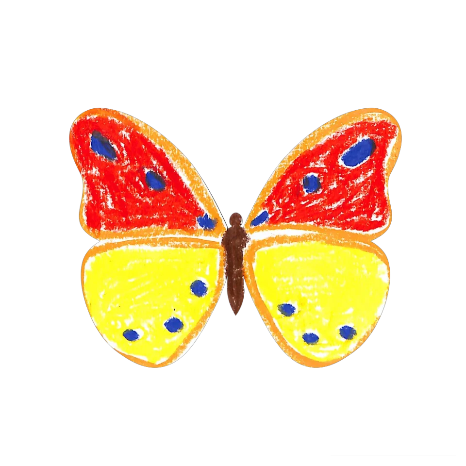 Original Butterfly Image