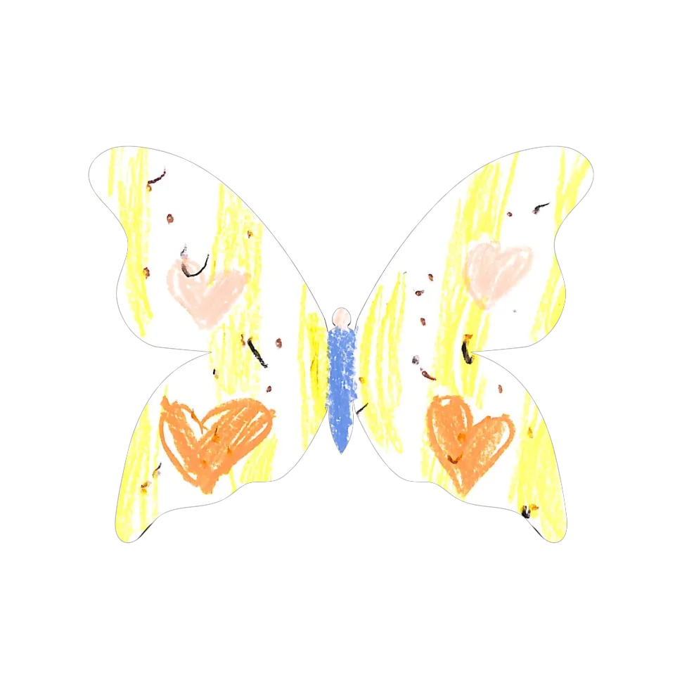 Original Butterfly Image