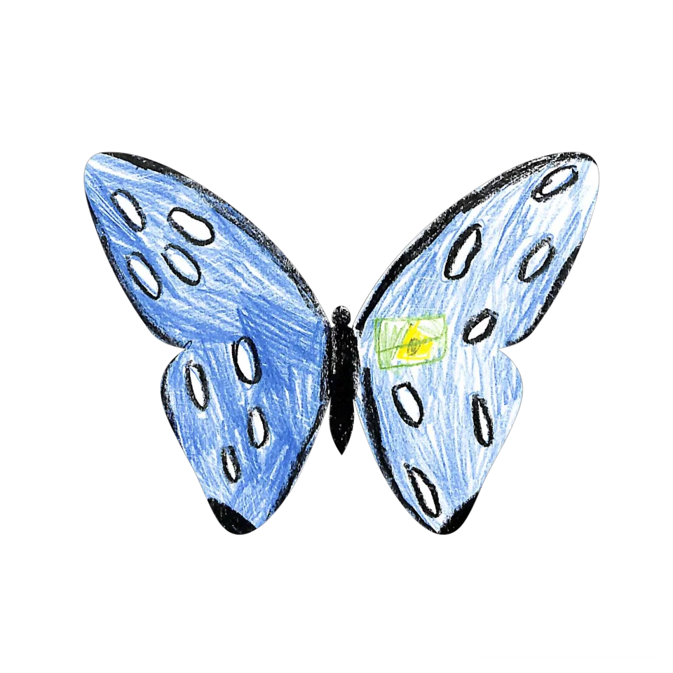 Original Butterfly Image