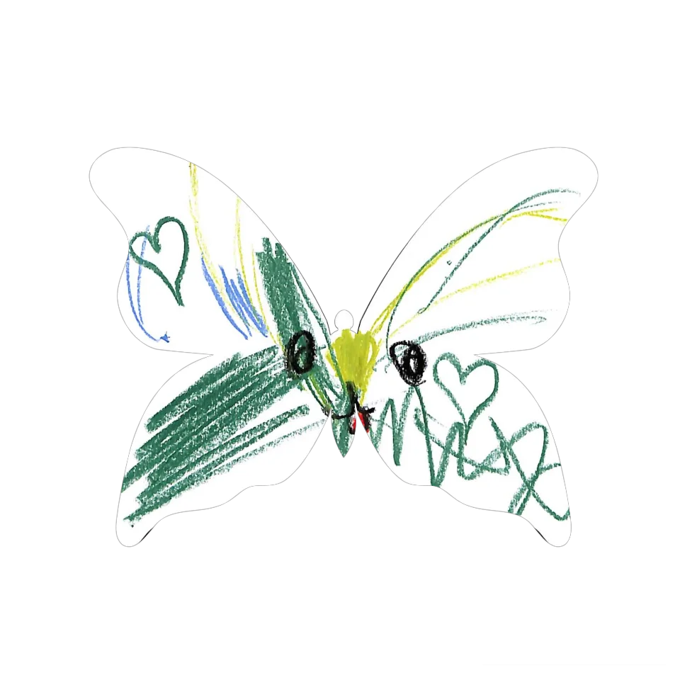 Original Butterfly Image