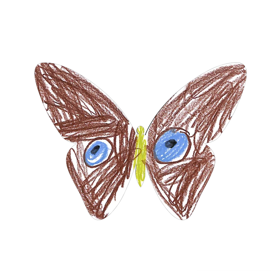 Original Butterfly Image