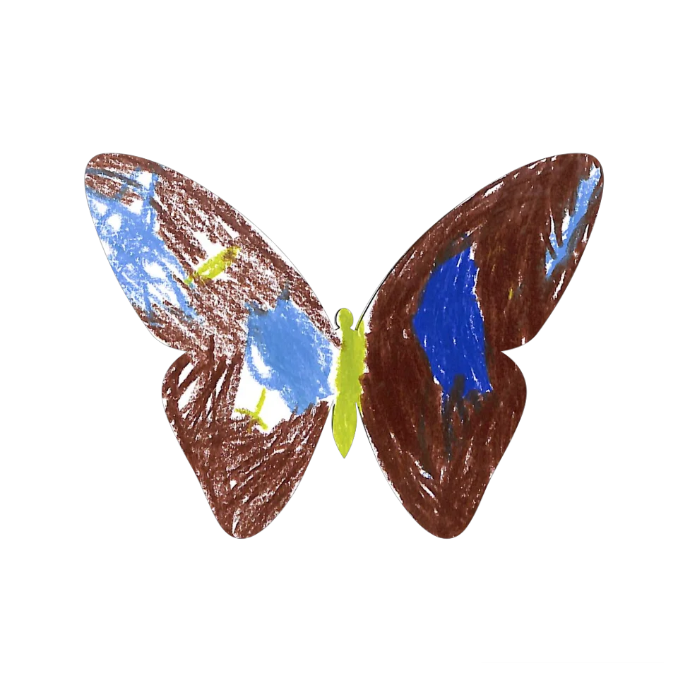 Original Butterfly Image