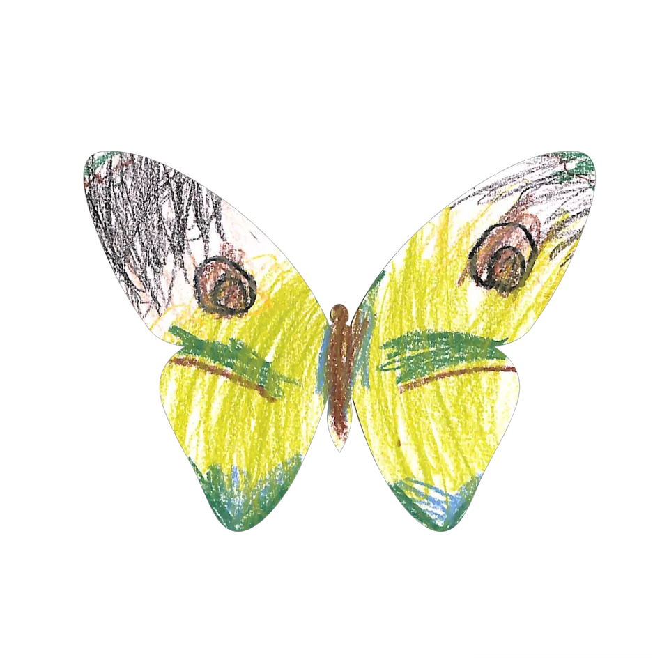 Original Butterfly Image