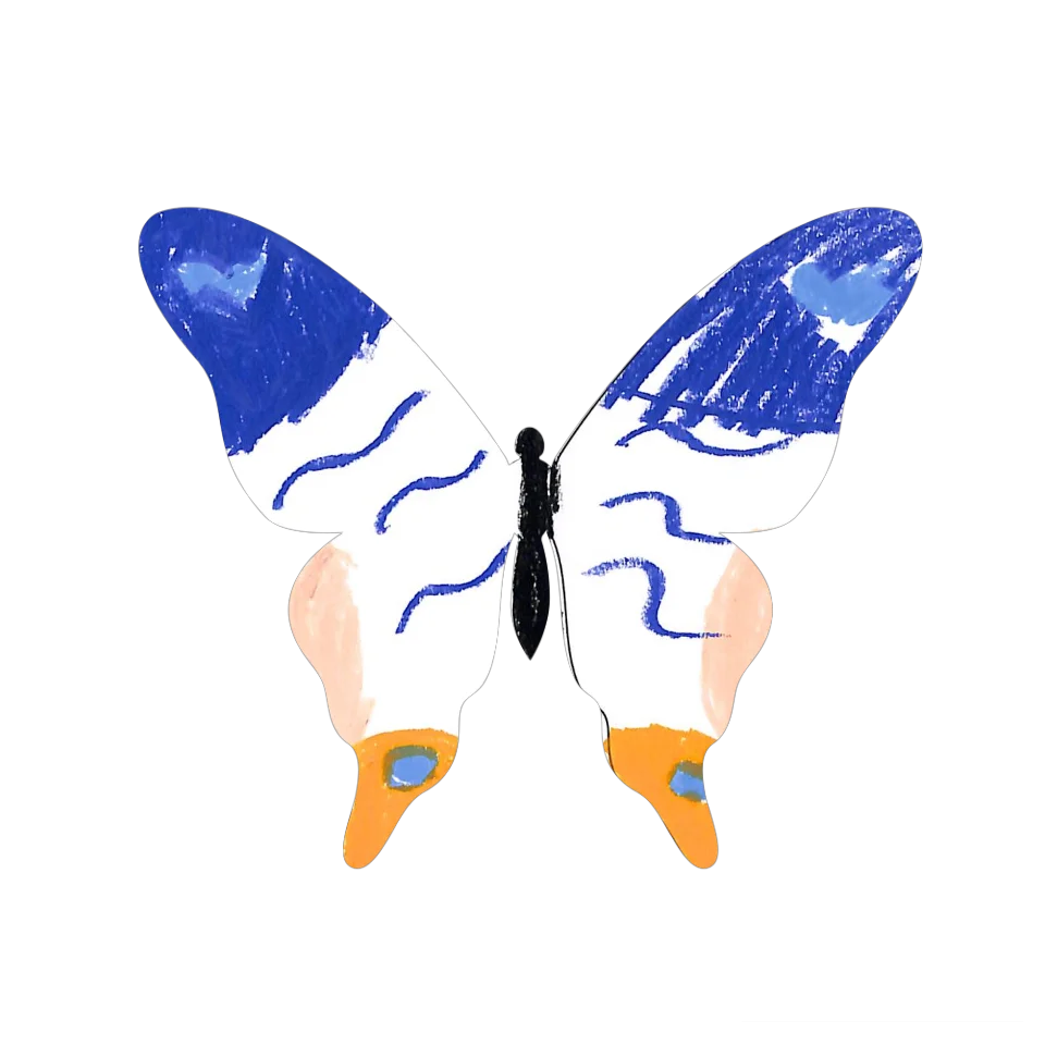 Original Butterfly Image