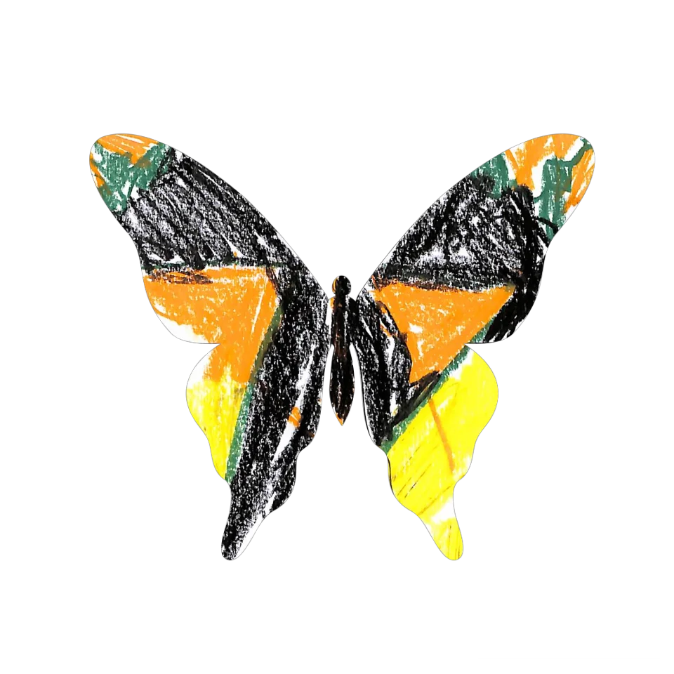 Original Butterfly Image