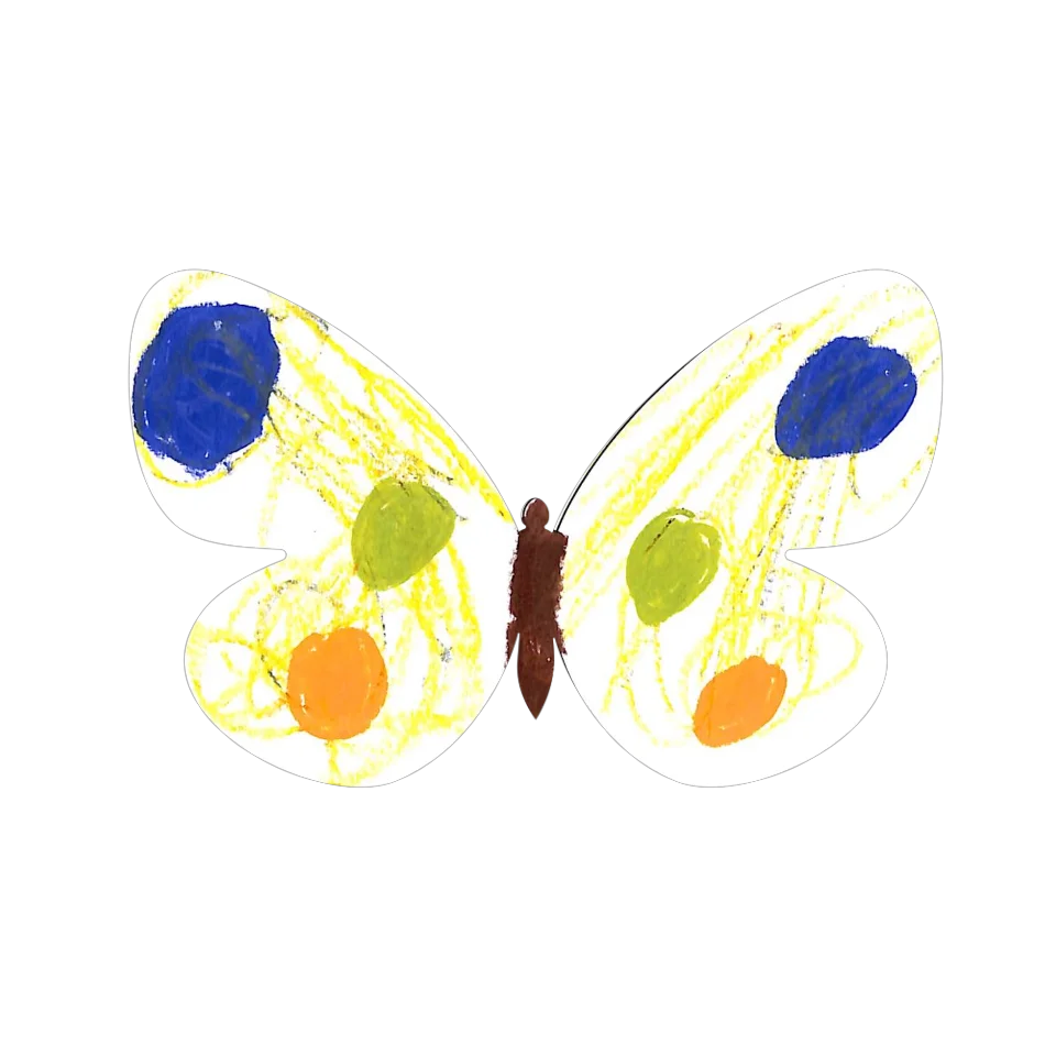 Original Butterfly Image
