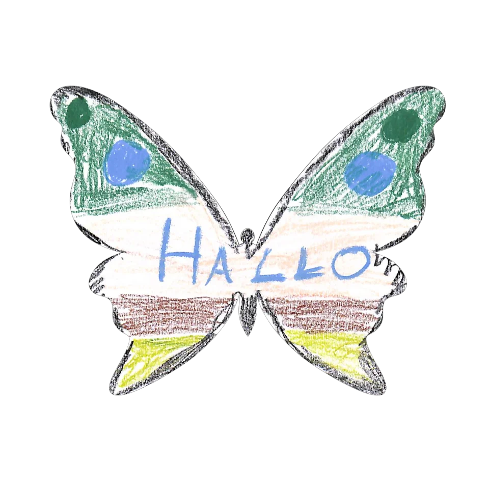 Original Butterfly Image