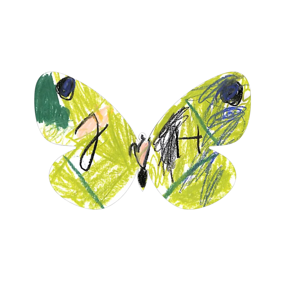 Original Butterfly Image