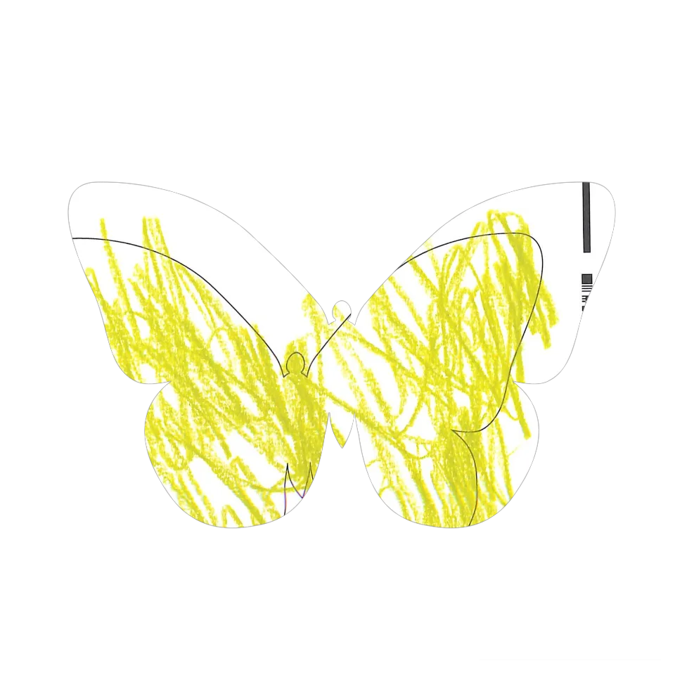 Original Butterfly Image
