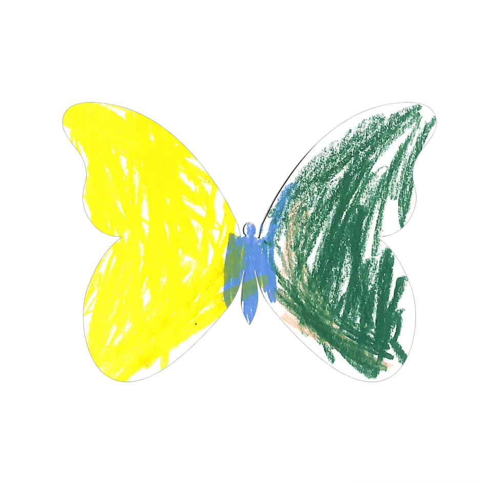 Original Butterfly Image