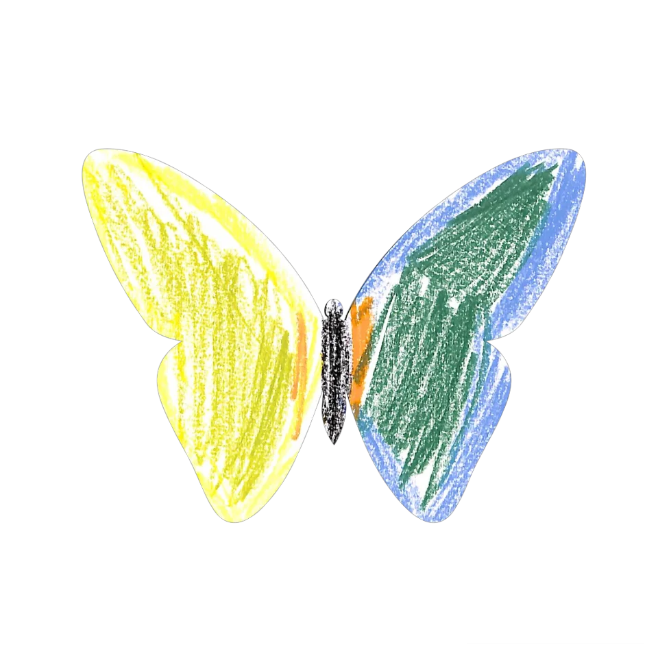Original Butterfly Image