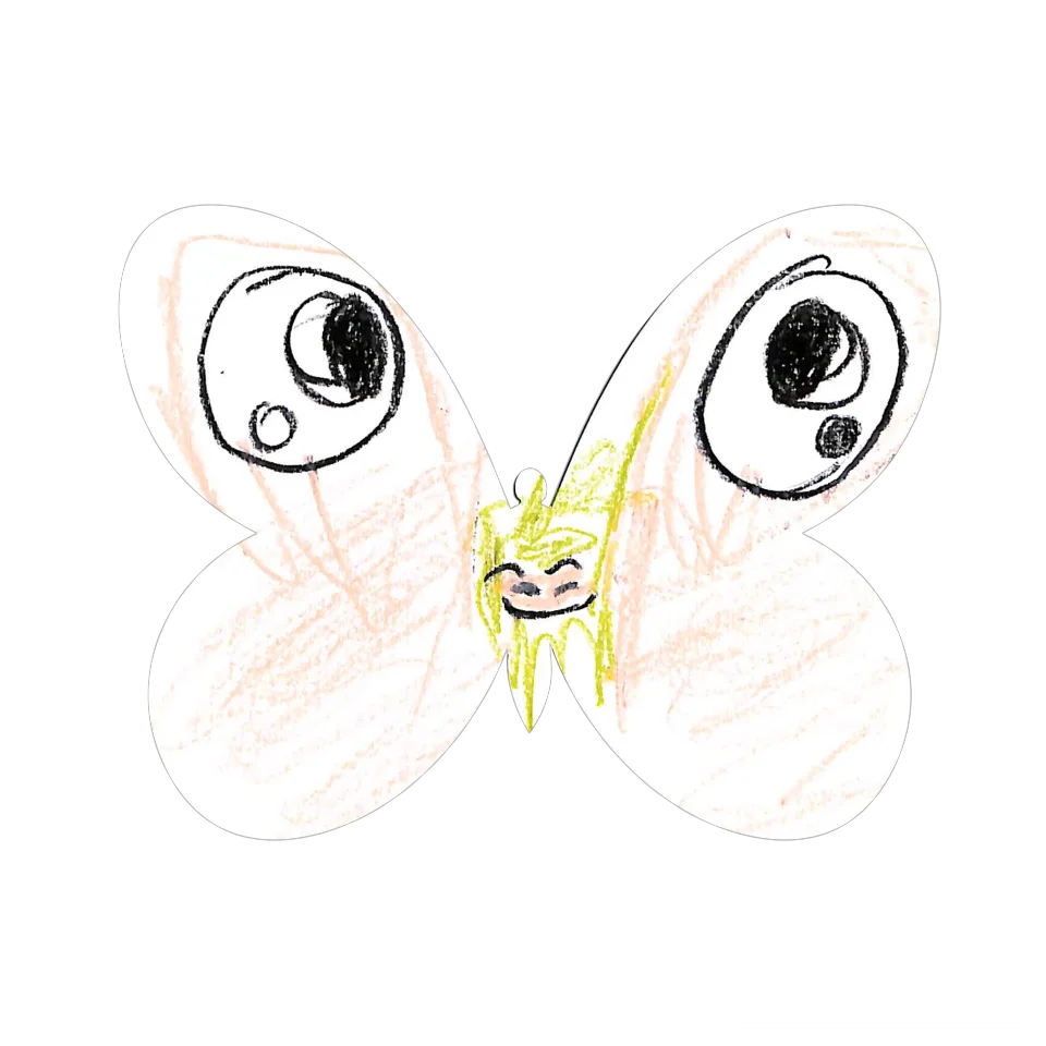 Original Butterfly Image