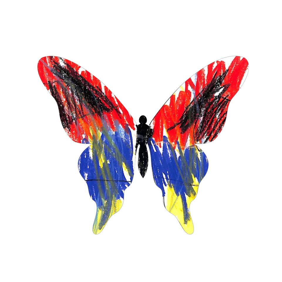 Original Butterfly Image