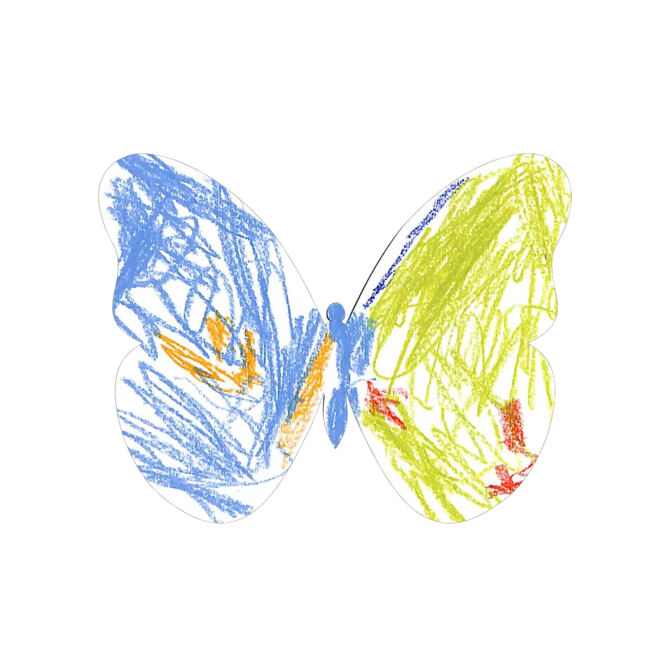 Original Butterfly Image