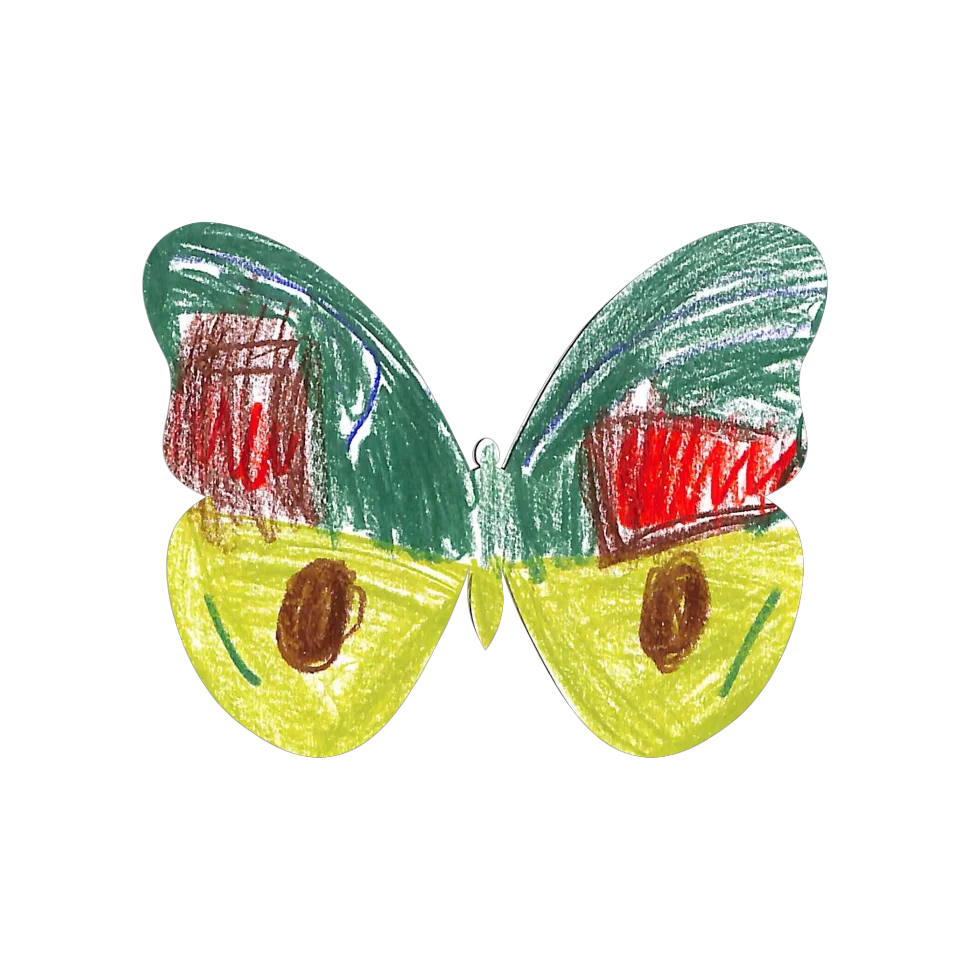 Original Butterfly Image