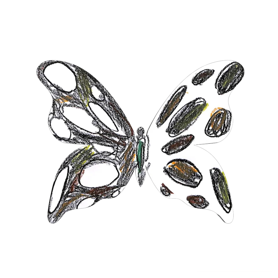 Original Butterfly Image