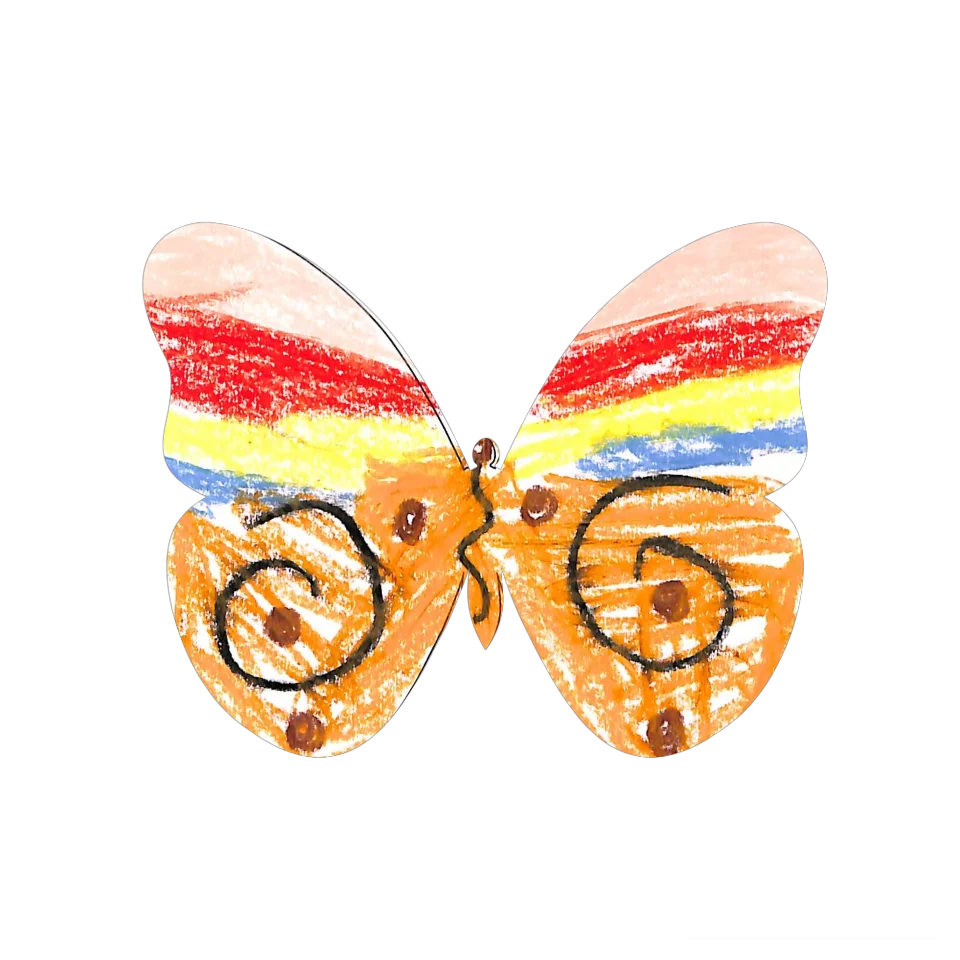 Original Butterfly Image