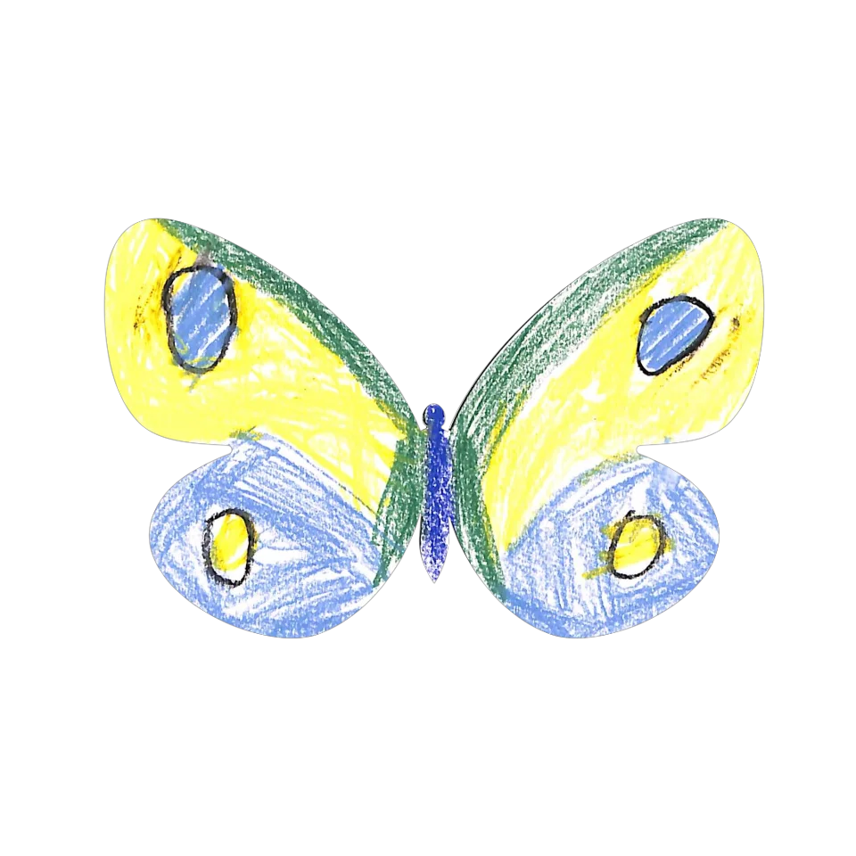 Original Butterfly Image