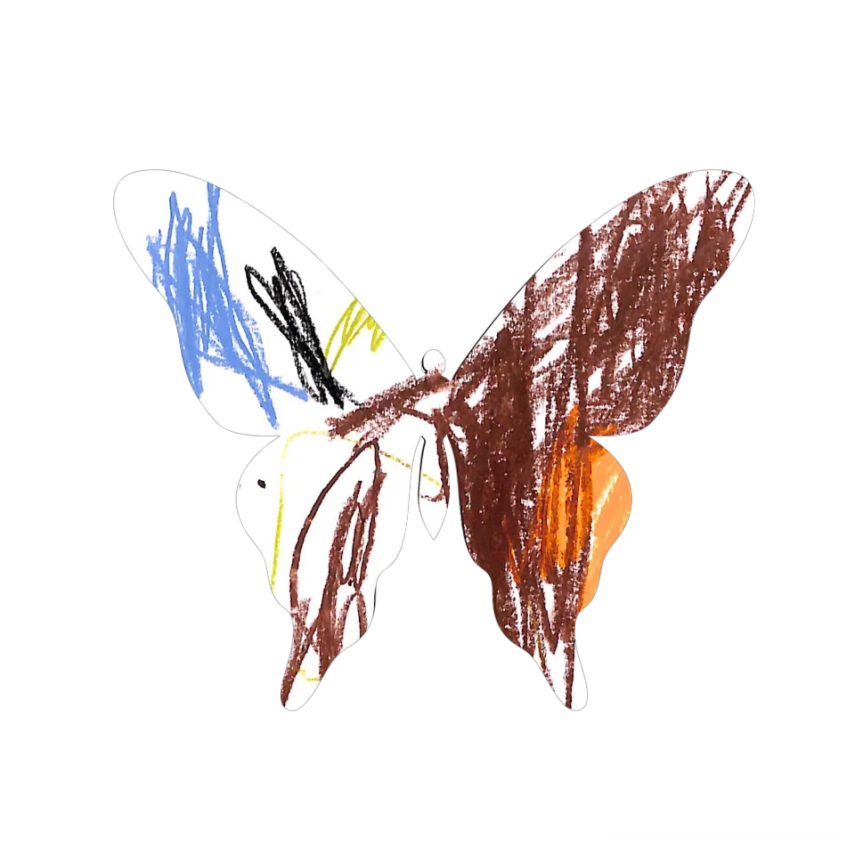 Original Butterfly Image