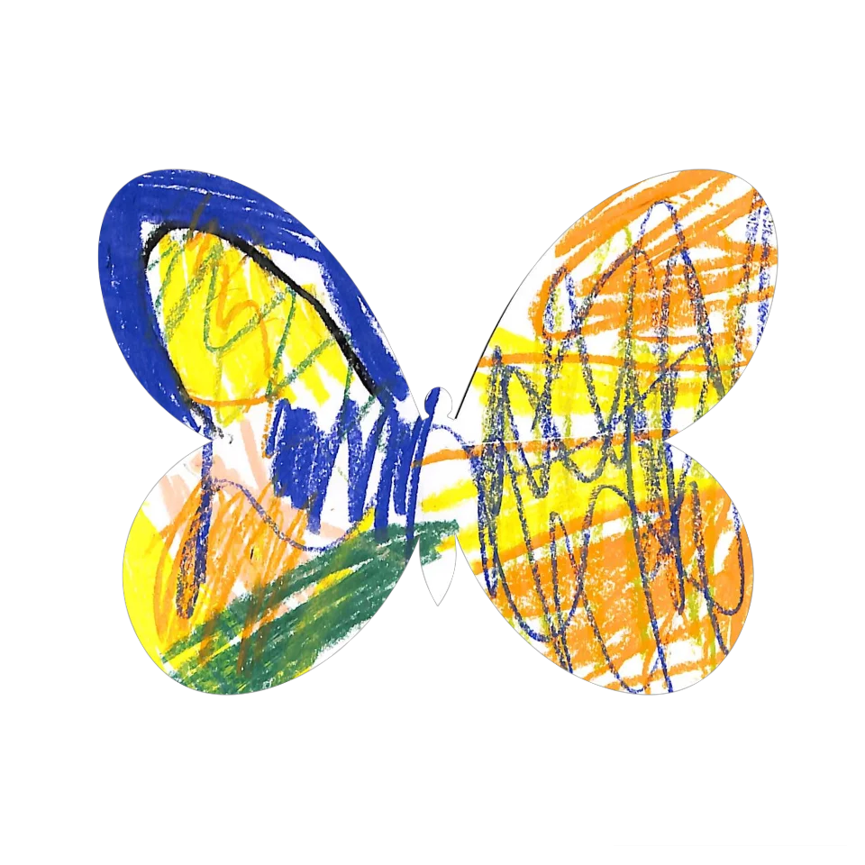 Original Butterfly Image