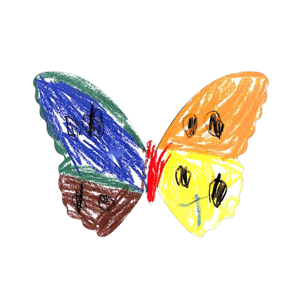 Original Butterfly Image