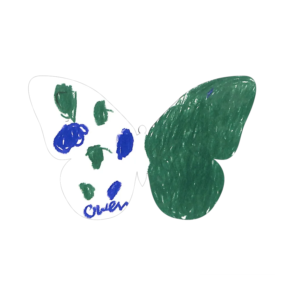 Original Butterfly Image