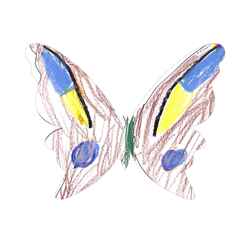 Original Butterfly Image