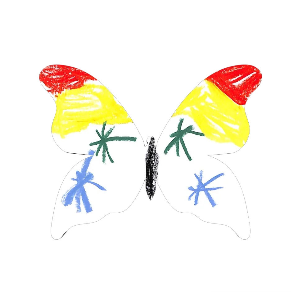 Original Butterfly Image