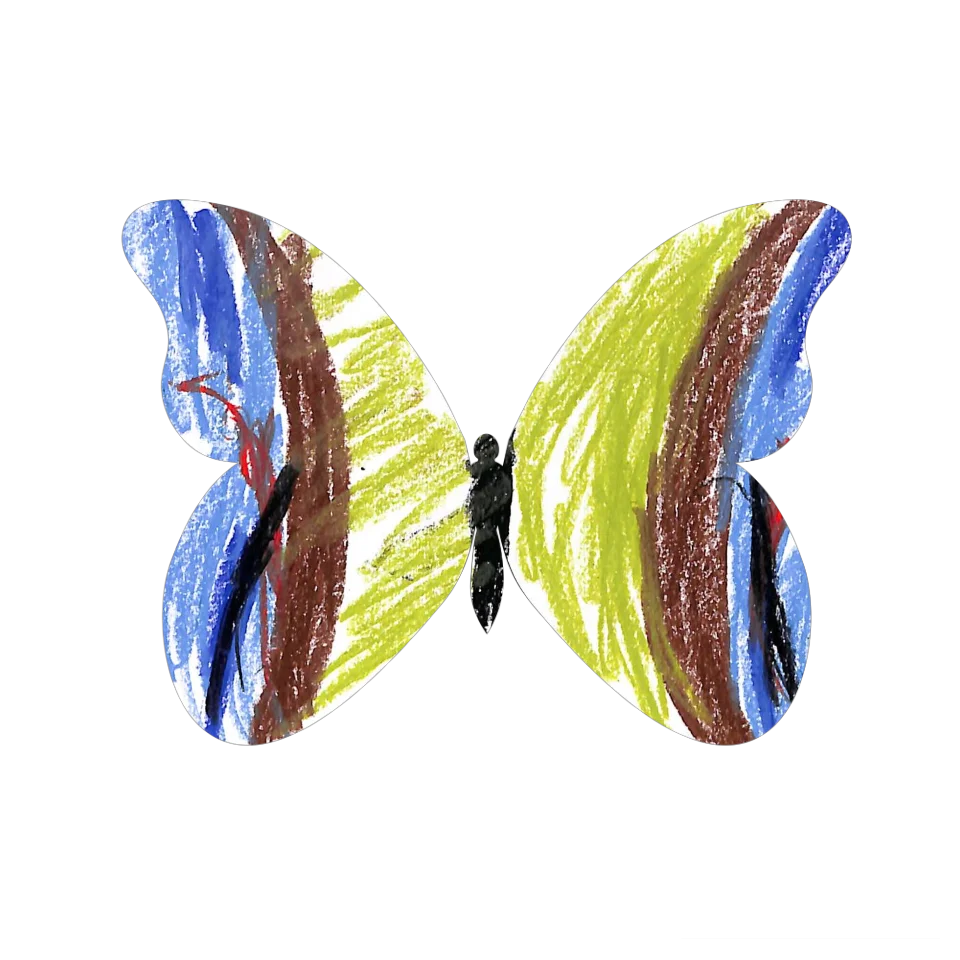 Original Butterfly Image