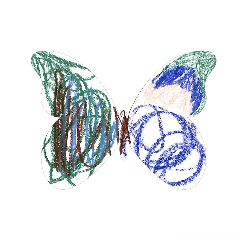 Original Butterfly Image