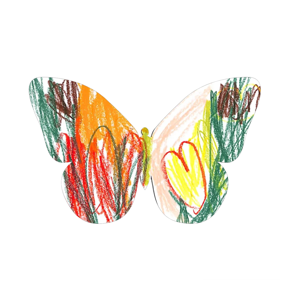 Original Butterfly Image