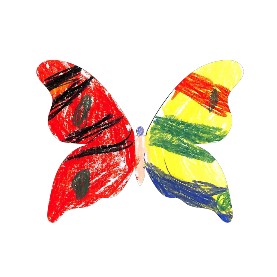 Original Butterfly Image