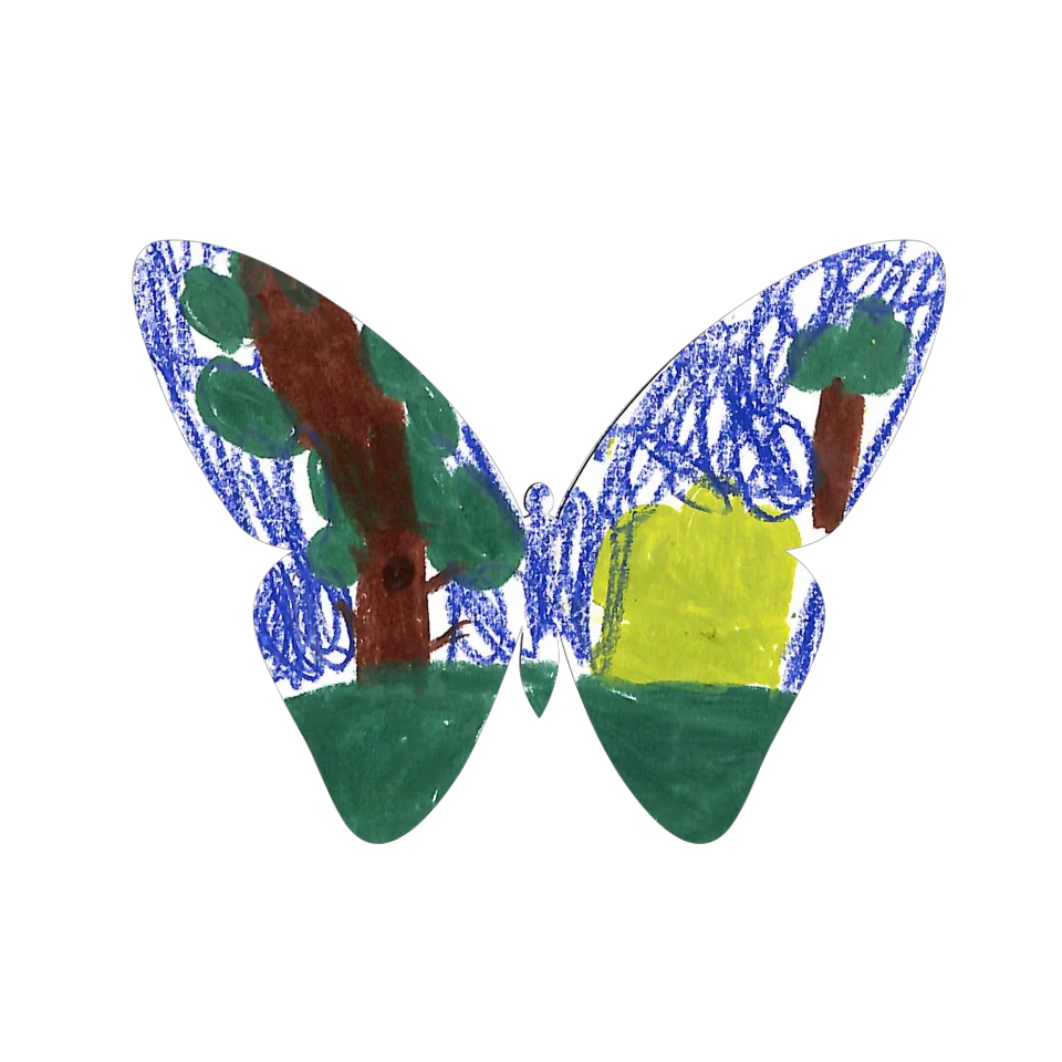 Original Butterfly Image