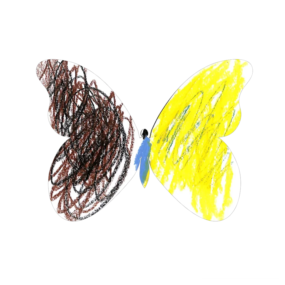 Original Butterfly Image